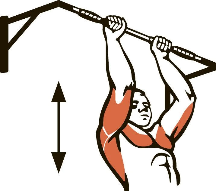 Prie sienos tvirtinamas skersinis + lygiagretės SANRO PRO 3 IN 1 Baltas, iki 200kg