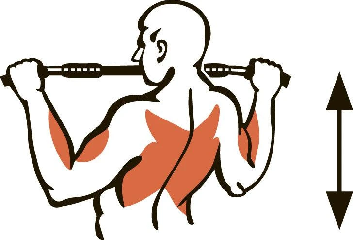 Prie sienos tvirtinamas skersinis + lygiagretės SANRO PRO 3 IN 1 Baltas, iki 200kg