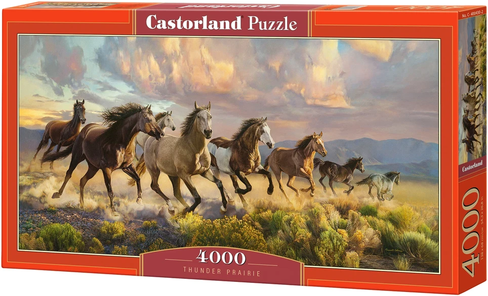 Castorland dėlionė ART kolekcija Thunder Prairie 4000 det.