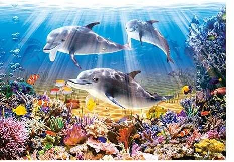 Castorland Dėlionė 500 vnt. - Delfinai po vandeniu
