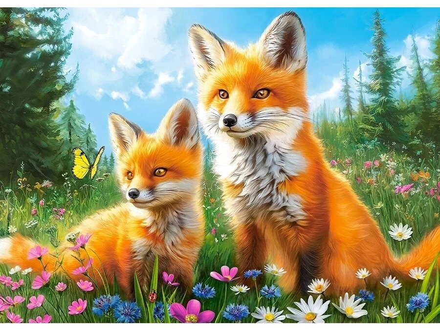 Castorland dėlionė Foxes In The Morning 260 det