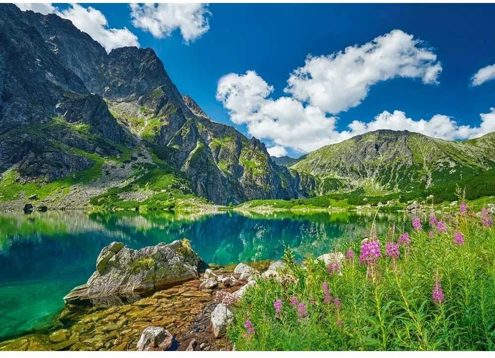 Castorland dėlionė Juodas Staw pod Rysami, Tatras, Poland 500 det