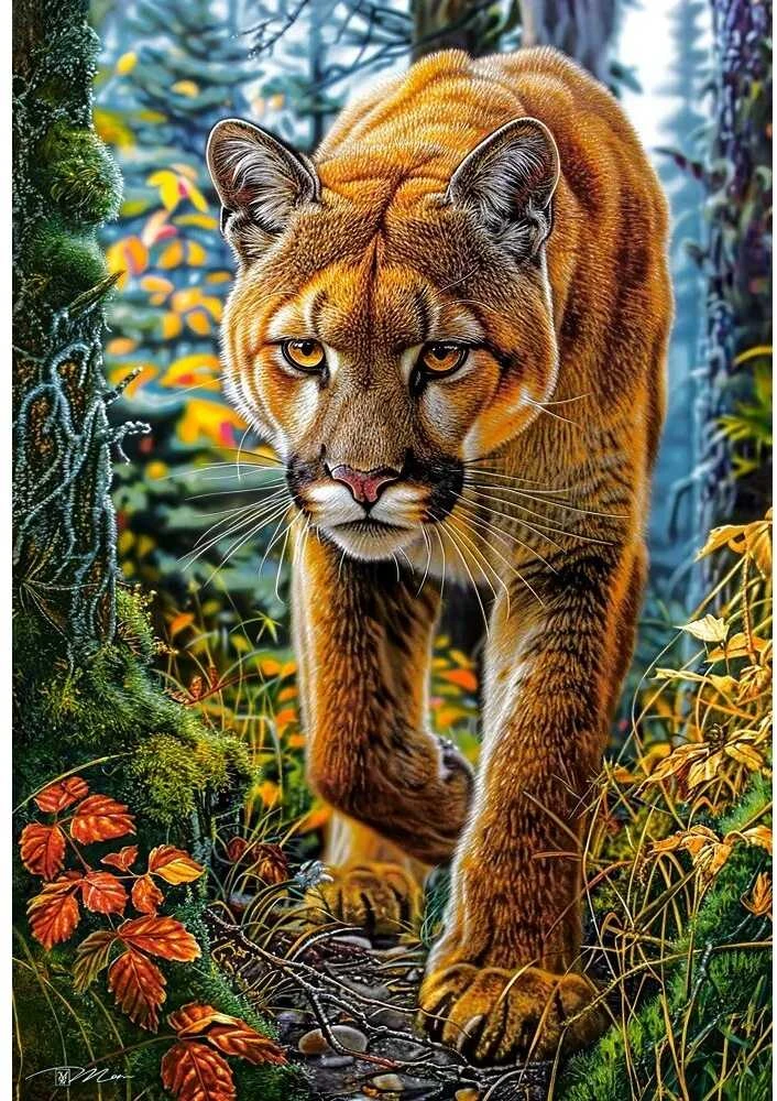Castorland dėlionė Mountain Lion in The Forest 1500 det.