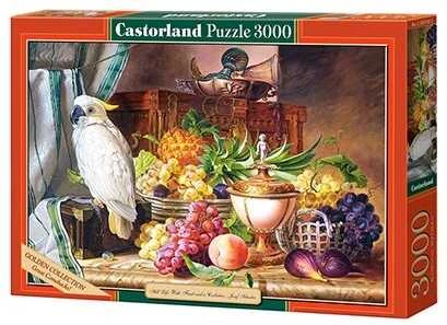 Castorland Dėlionė 3000 vnt. - Natiurmortas