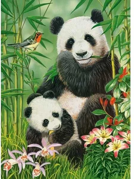 Castorland dėlionė Panda Brunch 300 det.