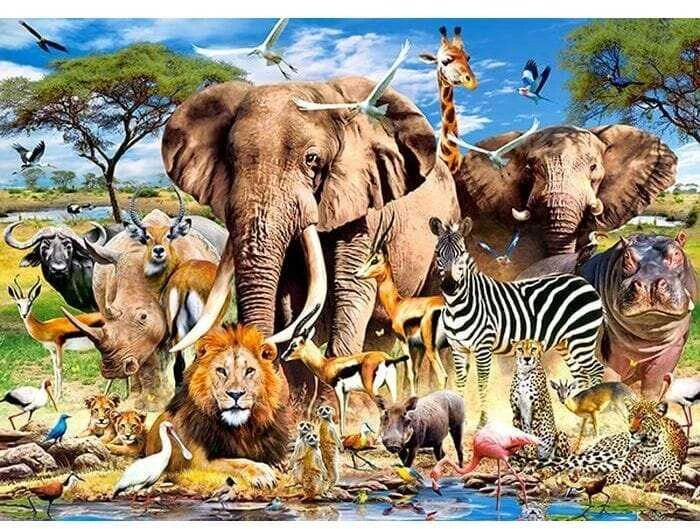Castorland dėlionė SAVANNA ANIMALS 260 det.