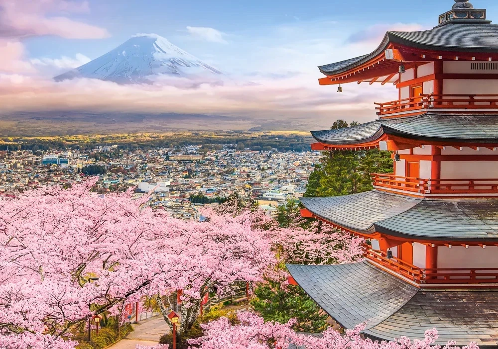 Castorland dėlionė Spring in Japan 500 det