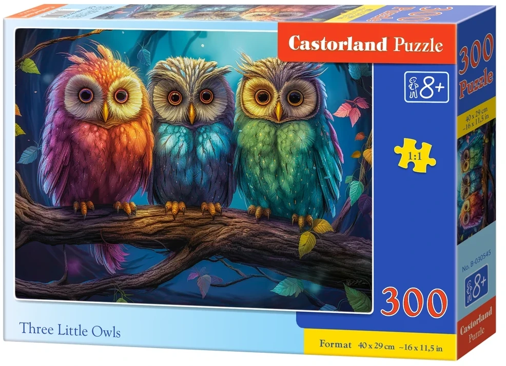 Castorland Dėlionė 300 vnt. - Trys pelėdos aprašymas - Prekės nuotrauka