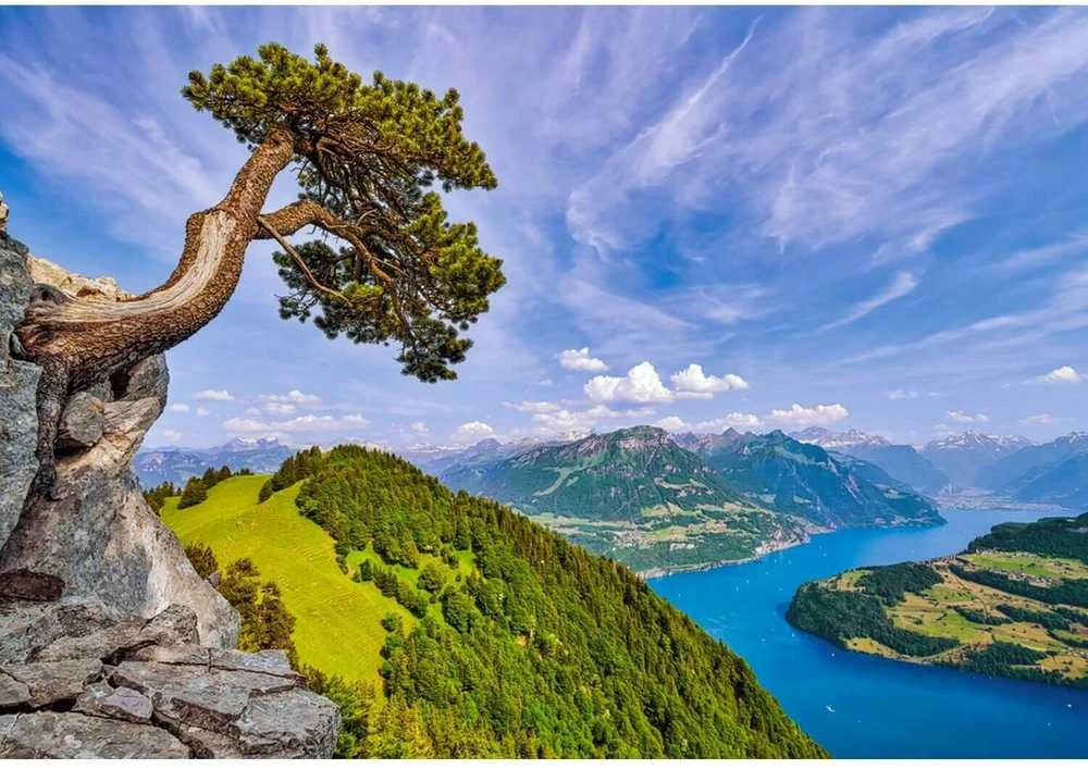 Castorland dėlionė Uri ežero vaizdas, Šveicarija 1000 det.