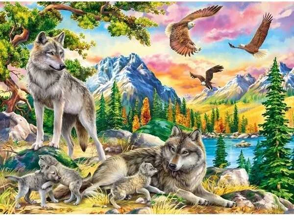 Castorland Dėlionė 300 vnt. - Vilkų šeima ir ereliai