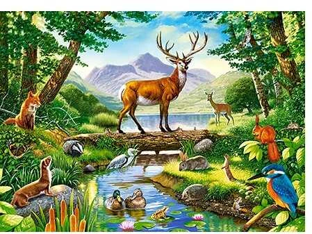 Castorland Dėlionė 300 vnt. - Miško harmonija