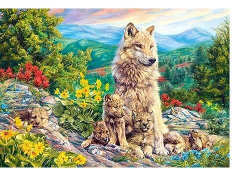 Castorland Dėlionė 1000 vnt. - Naujoji karta