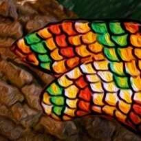 Cherry Pazzi CherryPazzi dėlionė Chameleon 1000 det.