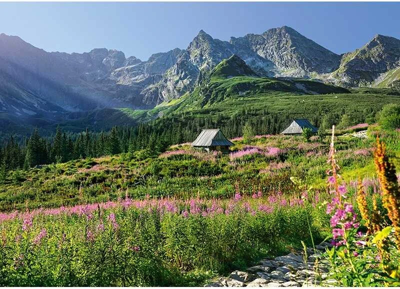 Cherry Pazzi CherryPazzi dėlionė Gasienicowa hall in Tatras 1000 det.