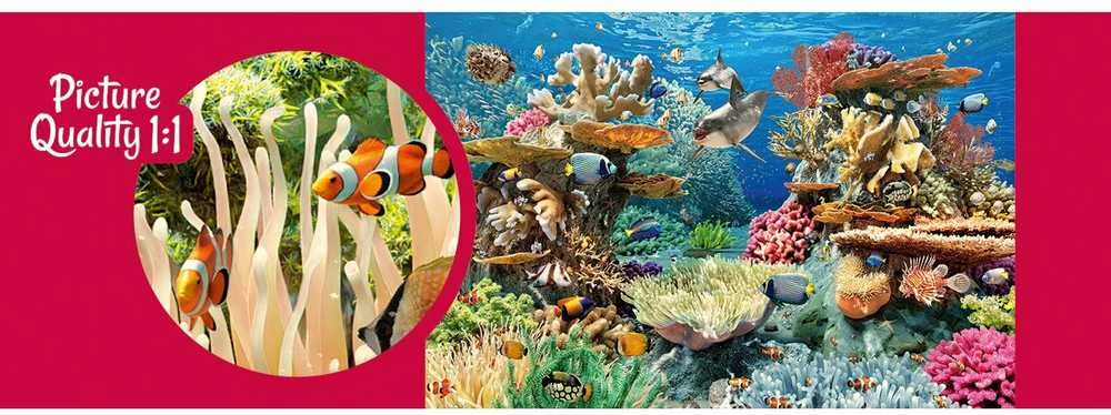 Cherry Pazzi CherryPazzi dėlionė Living Reef 500 det
