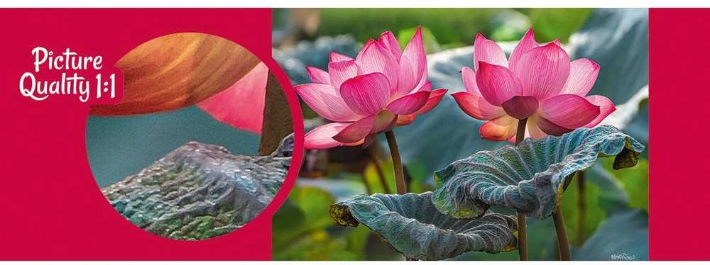 Cherry Pazzi CherryPazzi dėlionė Rožinė Lotus flowers 500 det