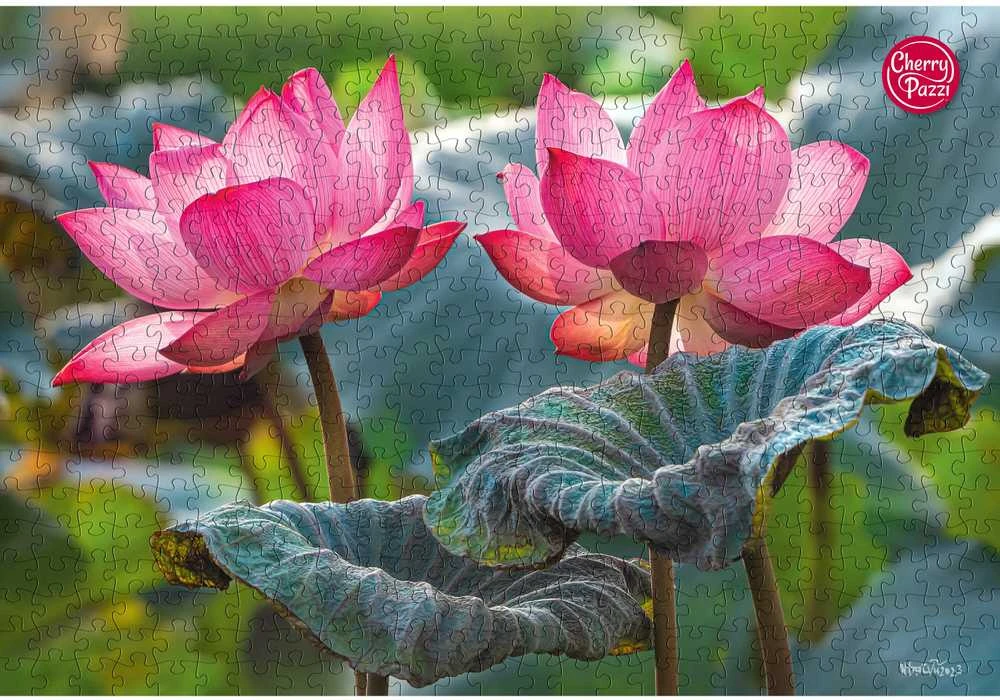 Cherry Pazzi CherryPazzi dėlionė Rožinė Lotus flowers 500 det