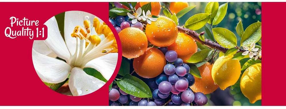 Cherry Pazzi CherryPazzi dėlionė Sunny Fruits 1000 det