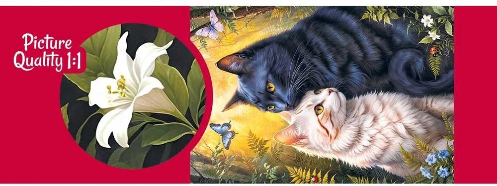Nezatříděno CherryPazzi dėlionė Anything for Love 500 det