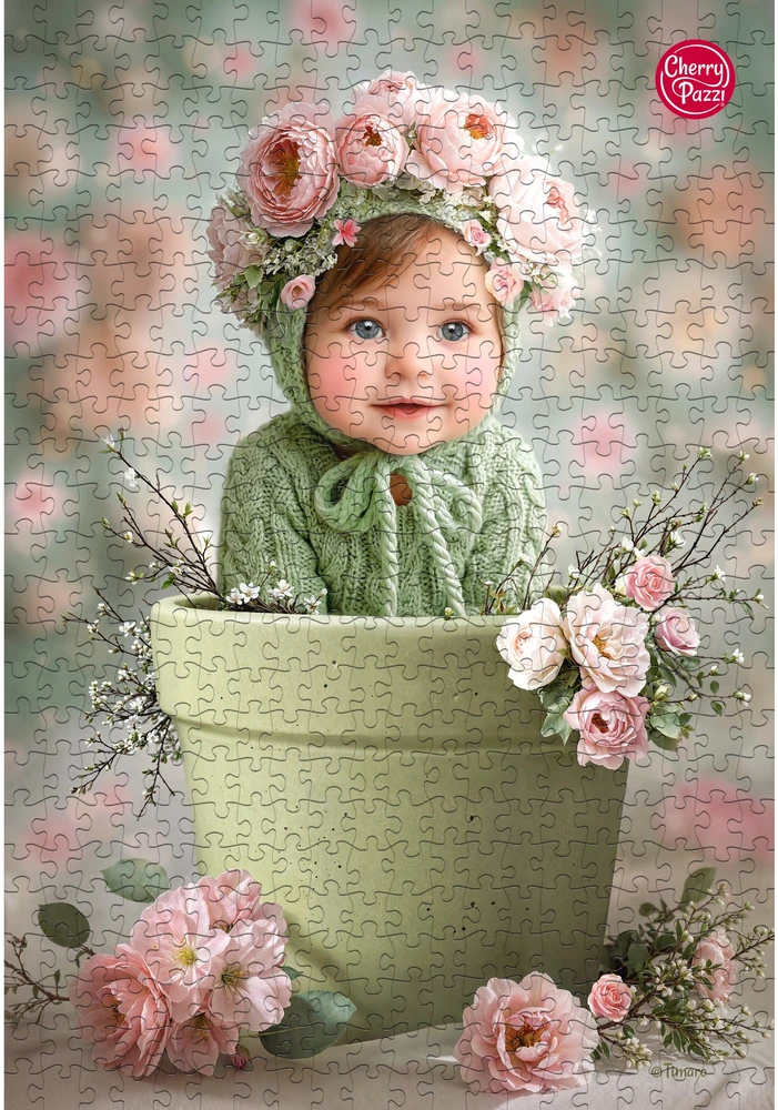 CherryPazzi dėlionė Hello World! 500 det