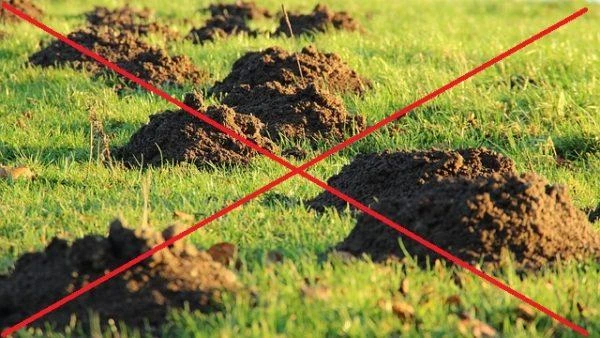Reguliuojama ultragarsinė ir vibracinė baidyklė kenkėjams su saulės baterija Vibocci