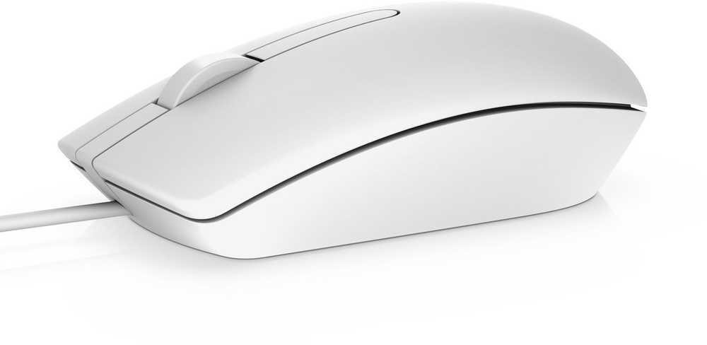 Pelė DELL MS116, Abiem rankoms, Optinis, USB A tipo, 1000 DPI, Balta