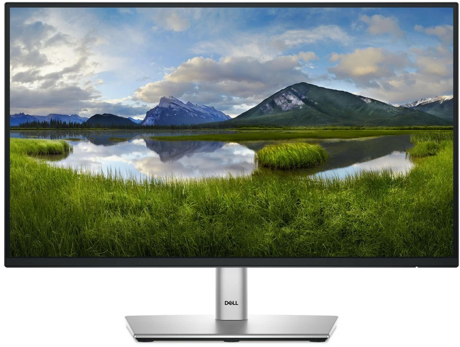 Monitorius Dell P Series P2225H Computer