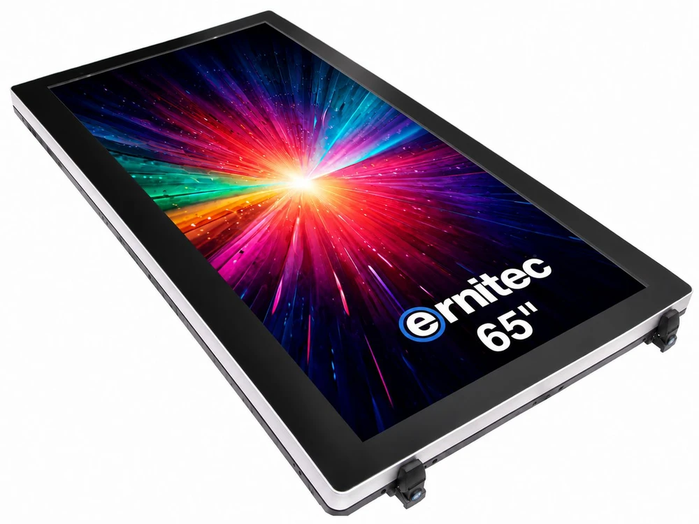 Monitorius Ernitec 0070-24165-HB3000-P