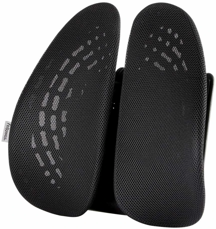 Fellowes nugaros angelas