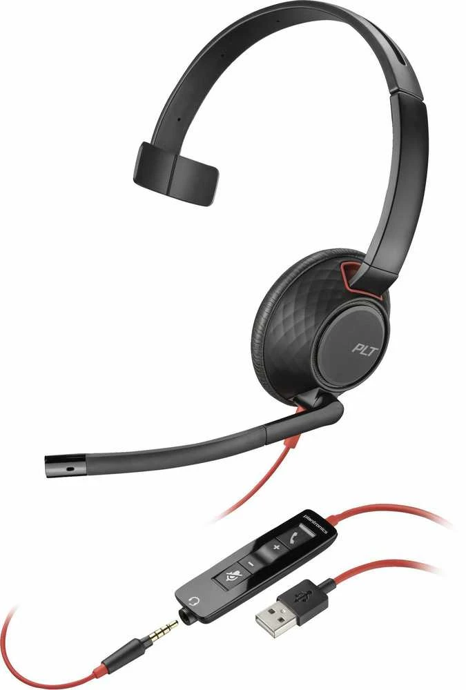HP Poly Blackwire 5210 ausinės su USB pulteliu