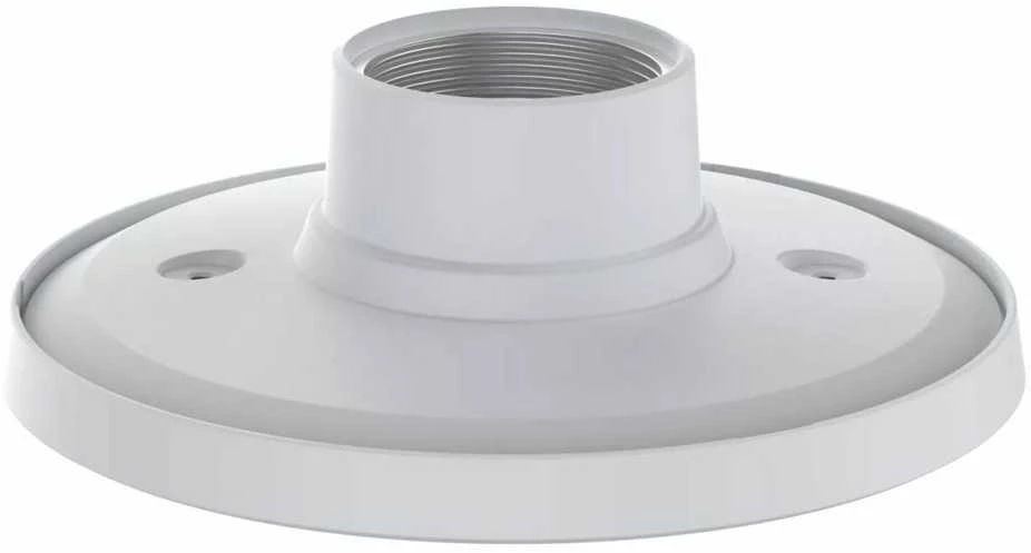 AXIS Ašis T94K01D (5505-081)