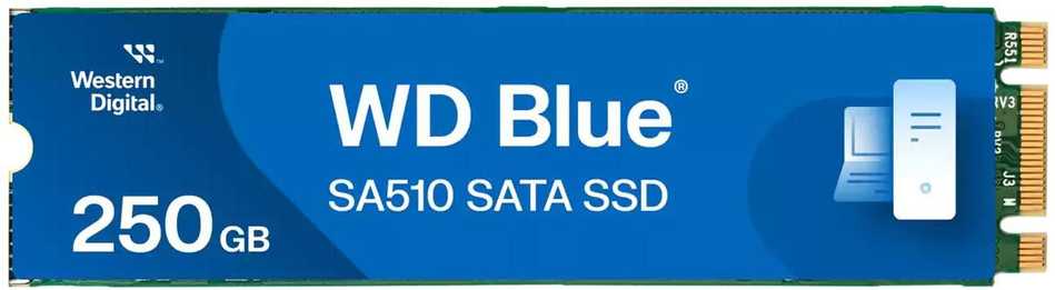 Sandisk WD Mėlyna SATA SSD M.2 250GB kietasis diskas