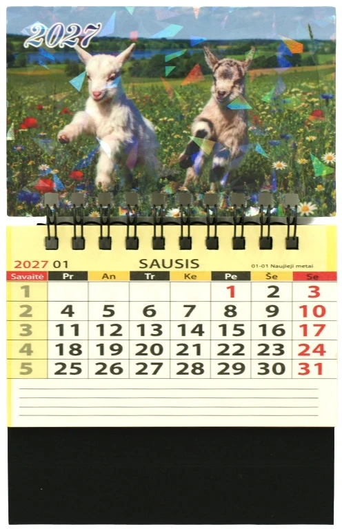 2027 metų kalendorius-magnetukas Ožys, 10x10 cm - 5