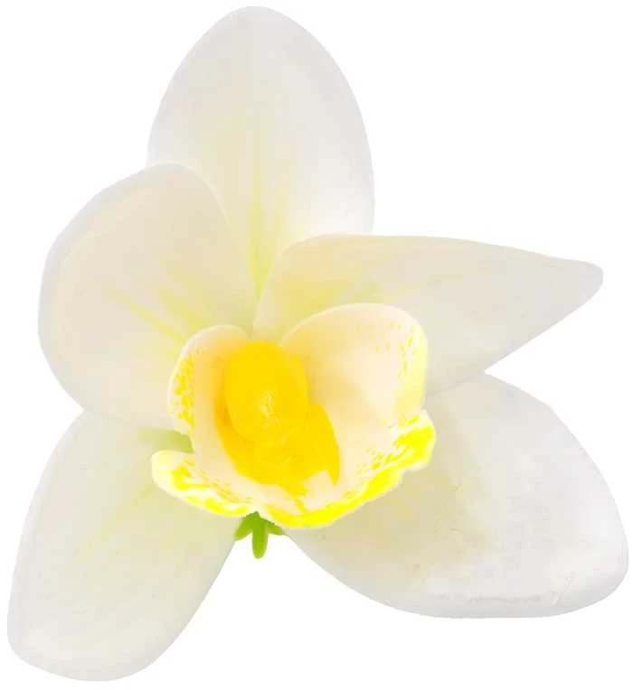 Baltas lateksinis orchidėjos žiedas