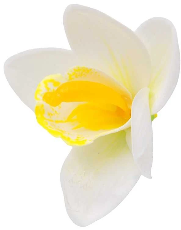 Baltas lateksinis orchidėjos žiedas