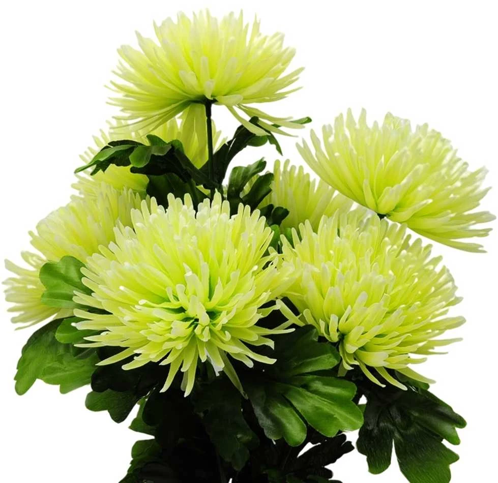 Dirbtinė chrizantemų puokštė, 52 cm - Balta
