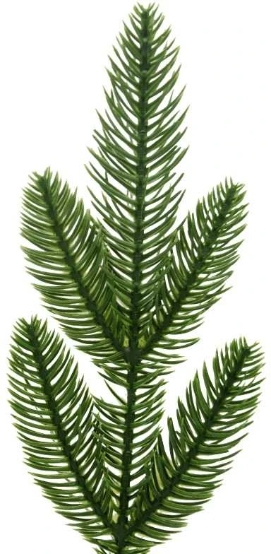 Dirbtinė eglės šakelė, 25 cm