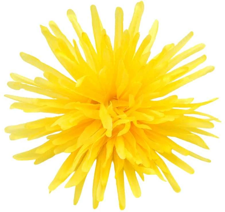 Dirbtinė gėlė adatinė chrizantemos žiedas, skersmuo 12,5 cm - Melsva