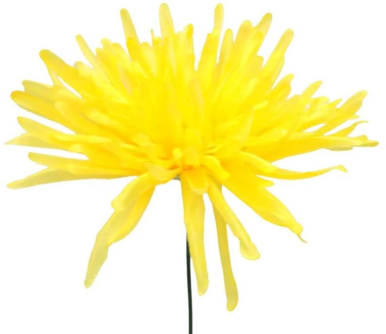 Dirbtinė gėlė adatinė chrizantemos žiedas, skersmuo 12,5 cm - Melsva