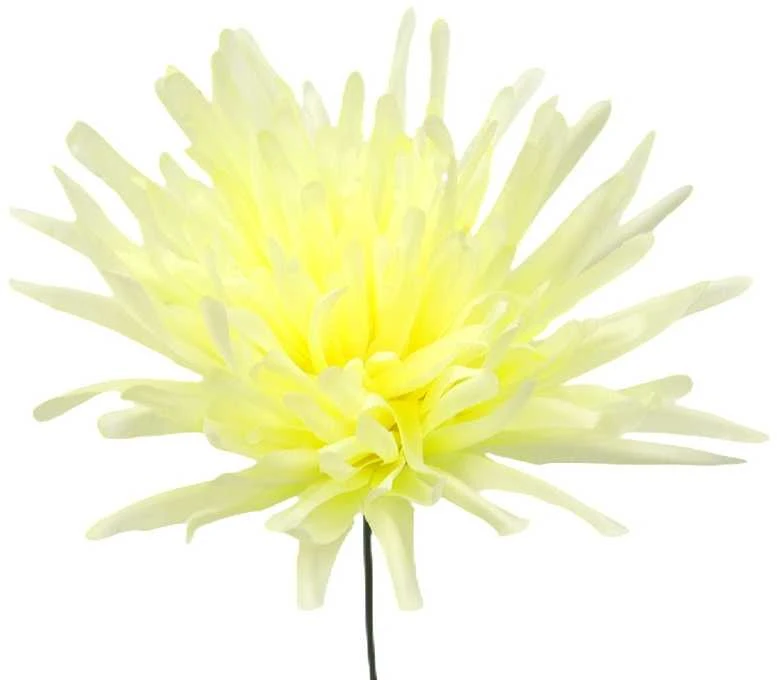 Dirbtinė gėlė adatinė chrizantemos žiedas, skersmuo 12,5 cm - Melsva
