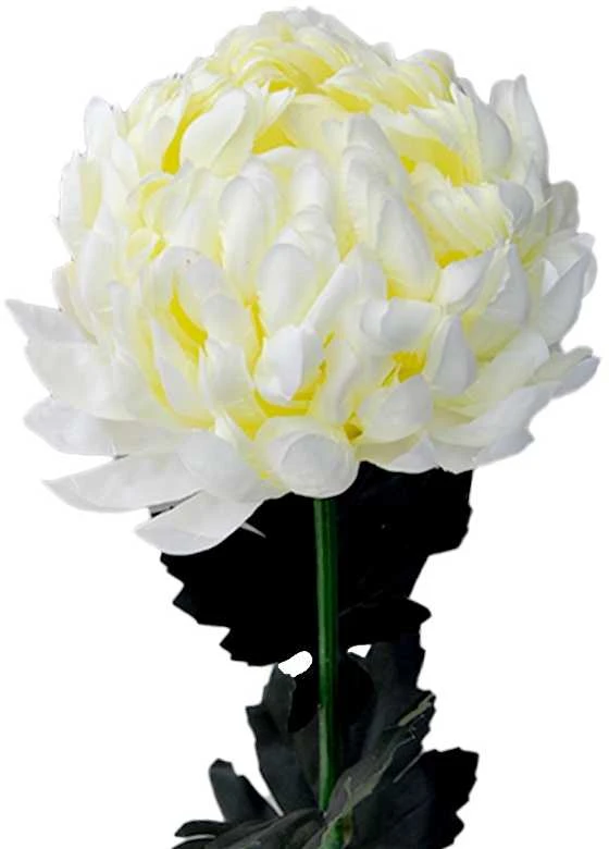 Dirbtinė gėlė chrizantema, 66 cm - Bordo