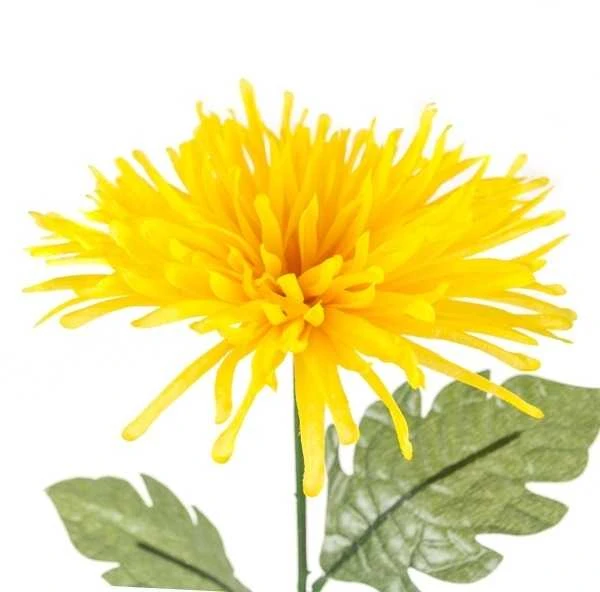 Dirbtinė gėlė chrizantema, 70 cm - Raudona