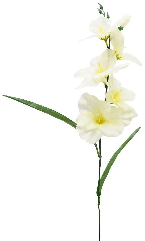Dirbtinė gėlė kardelis, 55 cm - Baltai žalsva