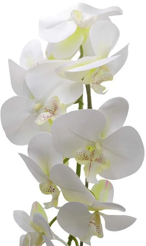 Dirbtinė gėlė orchidėja, 115 cm