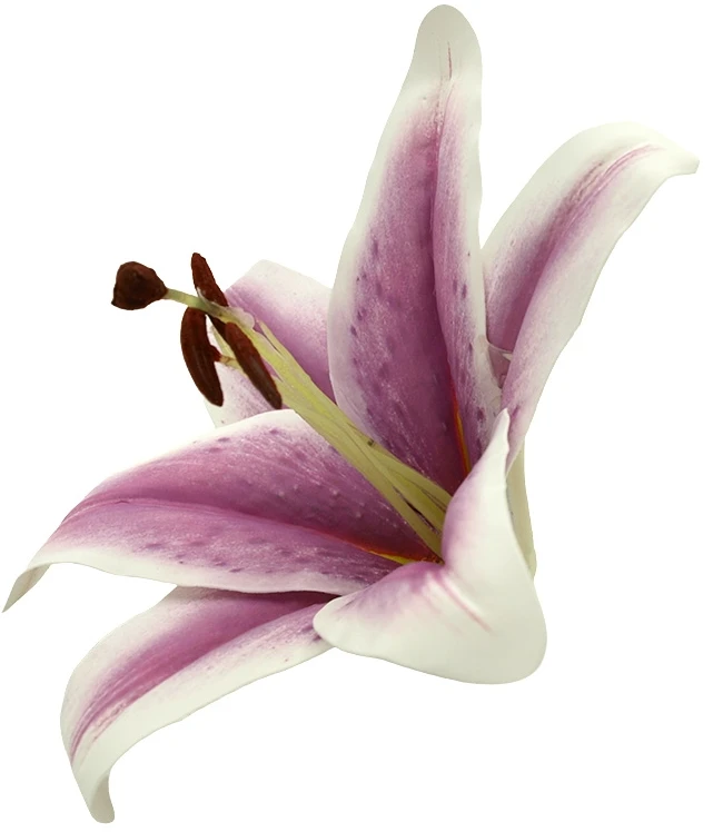 Dirbtinė lateksinė gėlė violetinis lelijos žiedas, 6 vnt.