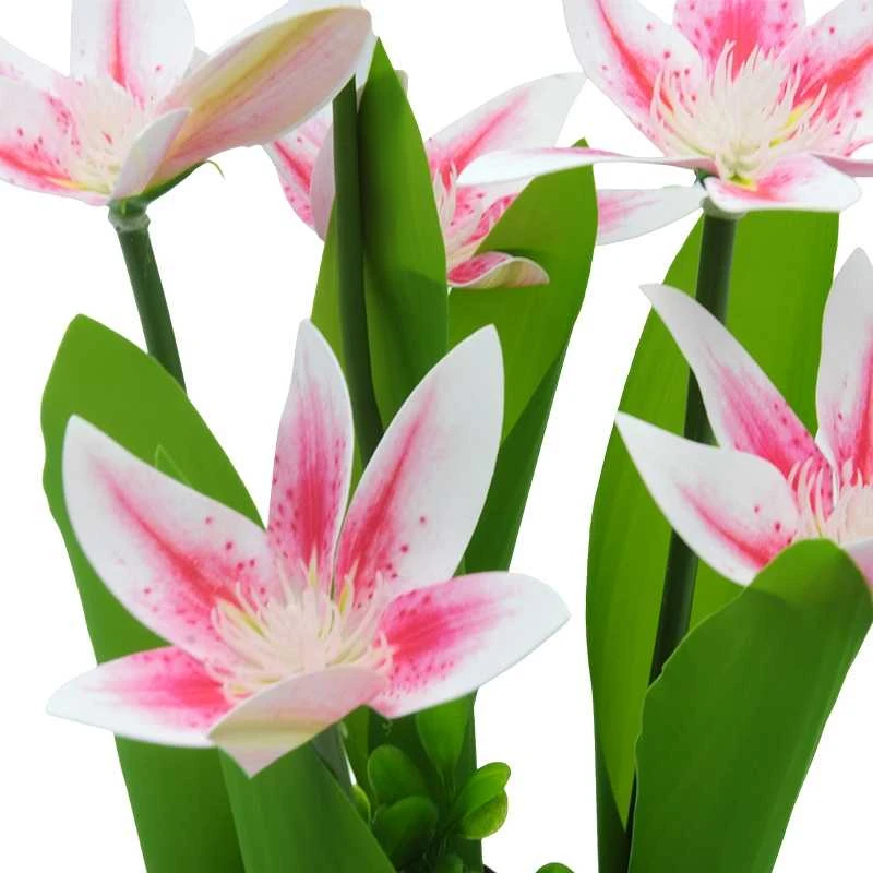 Dirbtinė orchidėjų puokštė, 30 cm - Balta