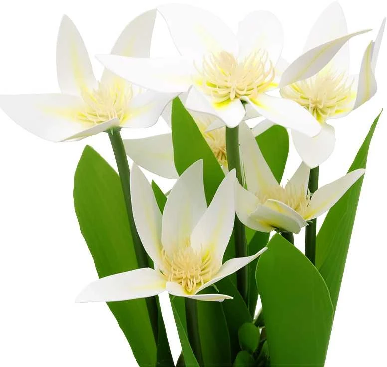 Dirbtinė orchidėjų puokštė, 30 cm - Balta