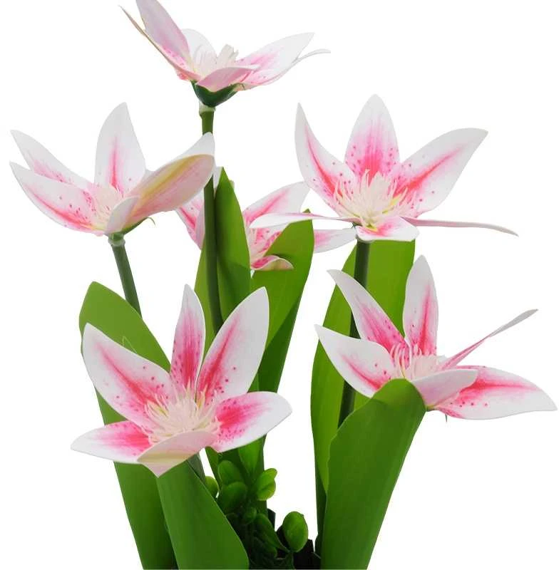 Dirbtinė orchidėjų puokštė, 30 cm - Balta