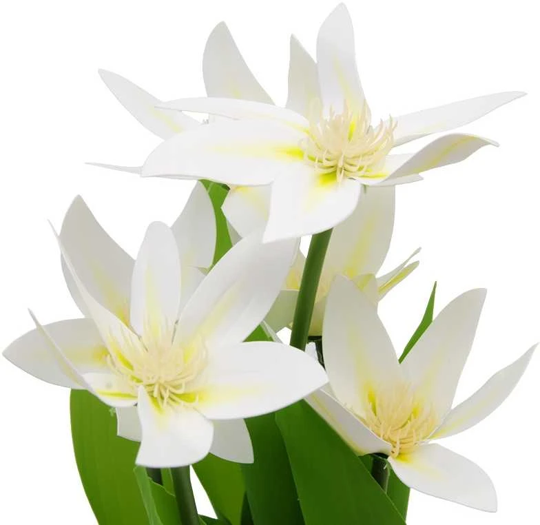 Dirbtinė orchidėjų puokštė, 30 cm - Balta