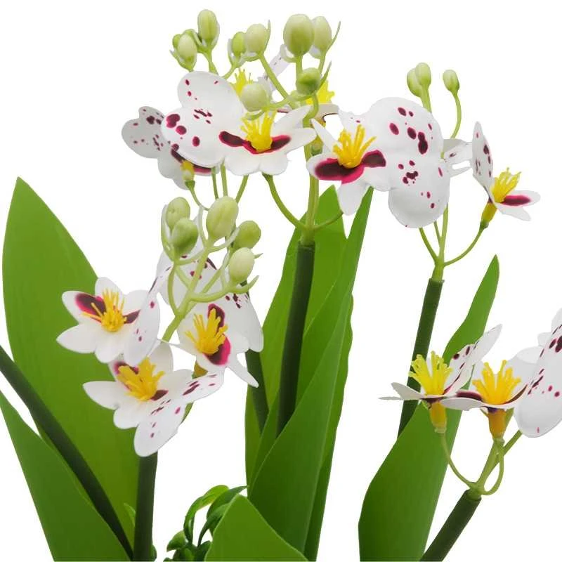 Dirbtinė orchidėjų puokštė, 32 cm